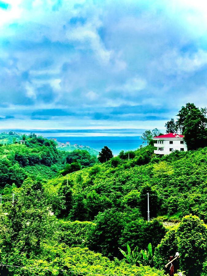 Five Stars Apart Aparthotel Trabzon Buitenkant foto
