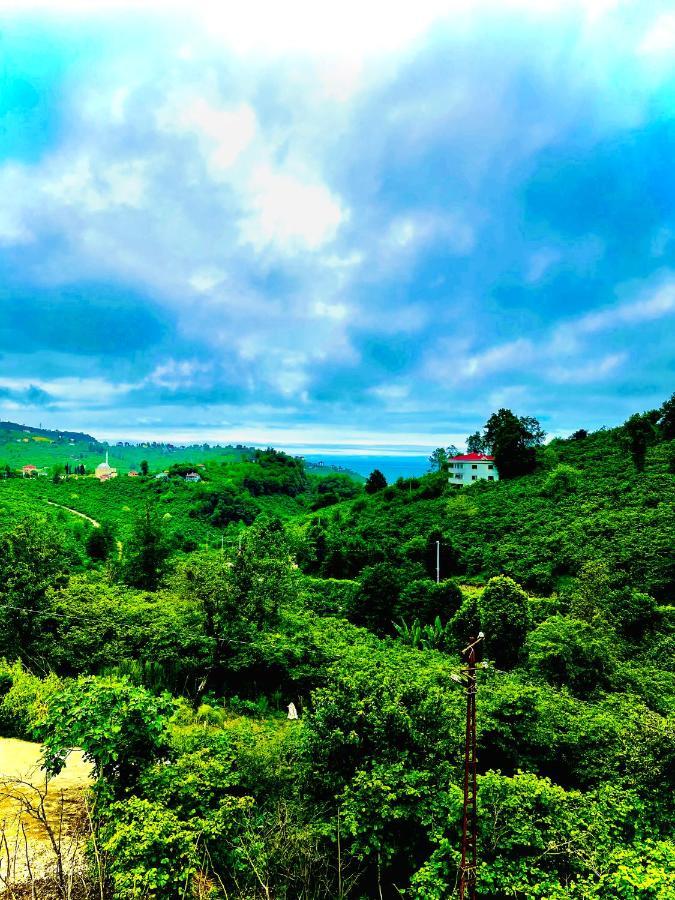 Five Stars Apart Aparthotel Trabzon Buitenkant foto
