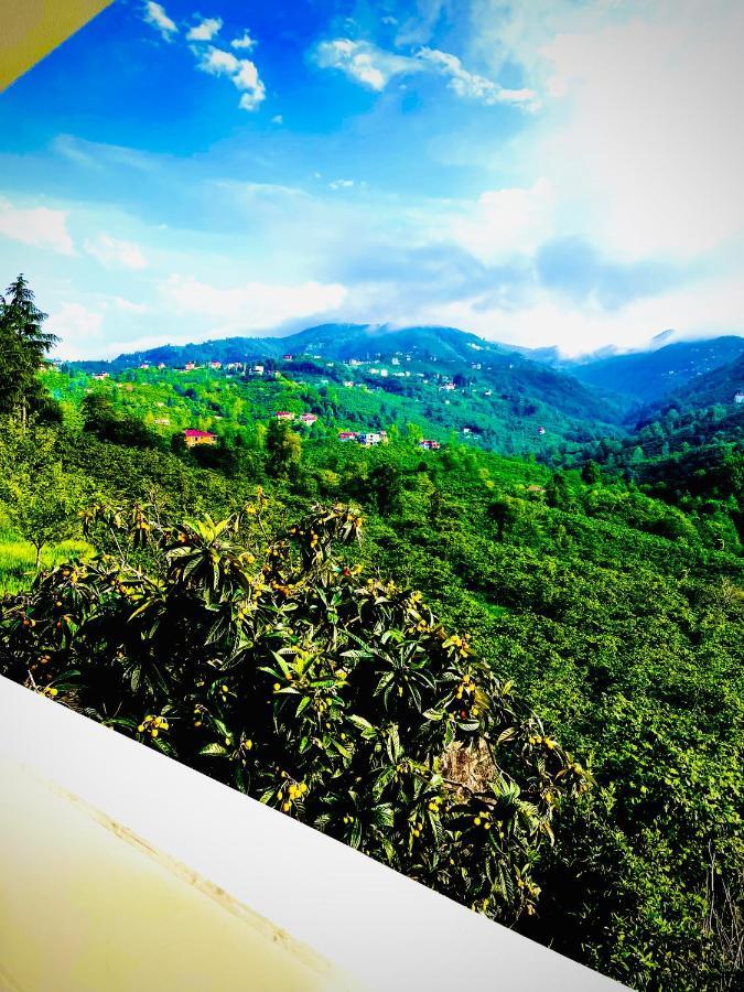 Five Stars Apart Aparthotel Trabzon Buitenkant foto
